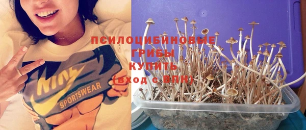 хмурый Санкт-Петербург
