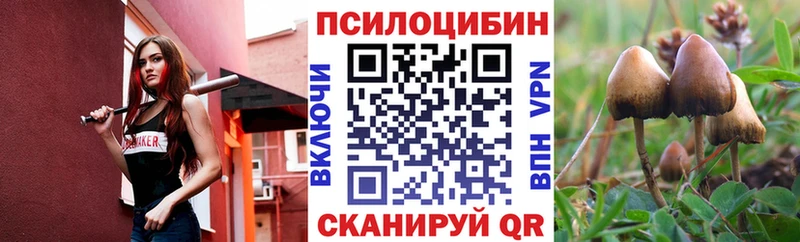 где найти наркотики Барнаул Галлюциногенные грибы ЛСД