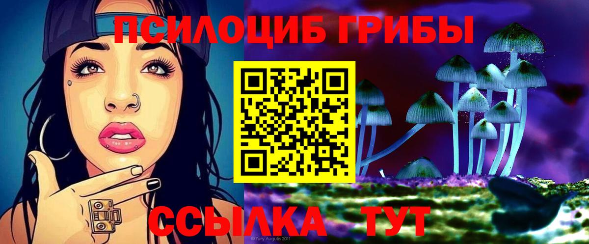 купить наркотики цена  Вход с VPN  Россия  Галлюциногенные грибы MAGIC MUSHROOMS 