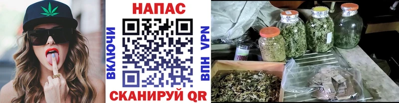 Марихуана марихуана  дарнет шоп  Барнаул 